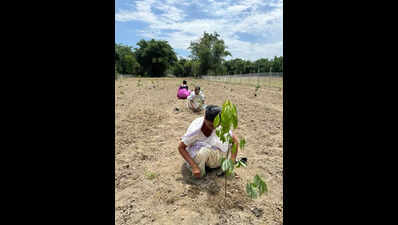 Students take up green mission at Posadigumpe | Mangaluru News