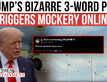 Trump’s Bizarre 3-Word Plea Triggers European Trolling Spree | WATCH